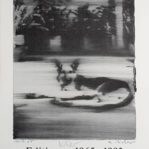 Gerhard Richter, Hund